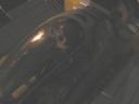 wasp03.jpg