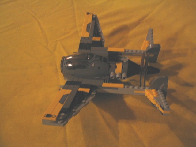wasp02.jpg