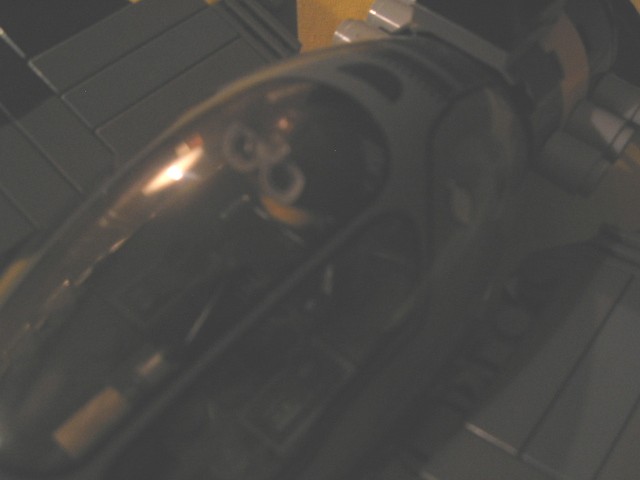 wasp03.jpg