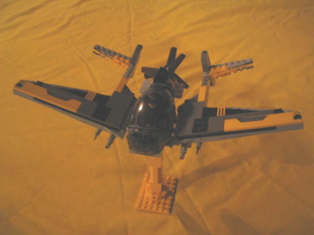 wasp05.jpg