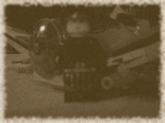 wasp07b.jpg