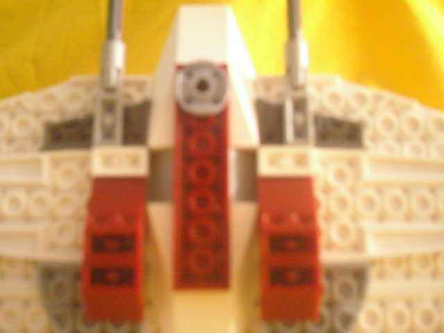madrabbit06.jpg