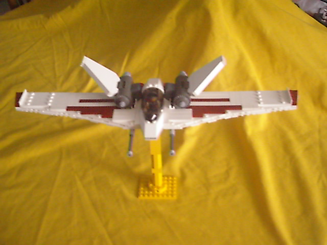 madrabbit07.jpg