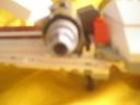 madrabbit04.jpg