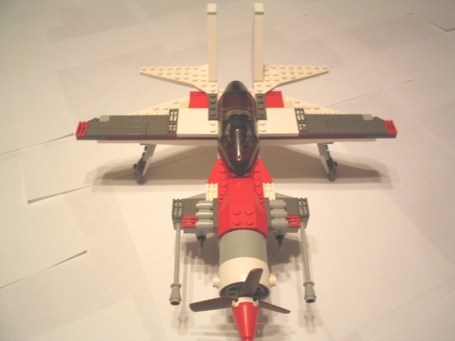 beliysokol01.jpg