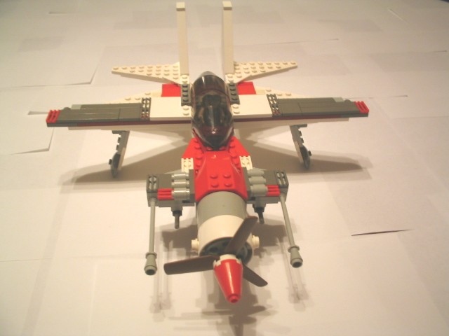 beliysokol04.jpg