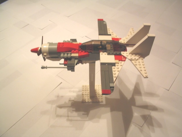 beliysokol08.jpg