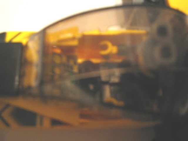 wespe06.jpg