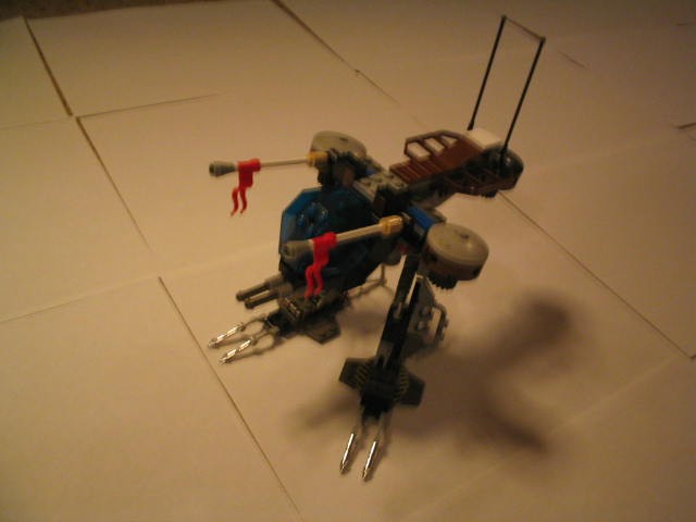 accipiter2.jpg