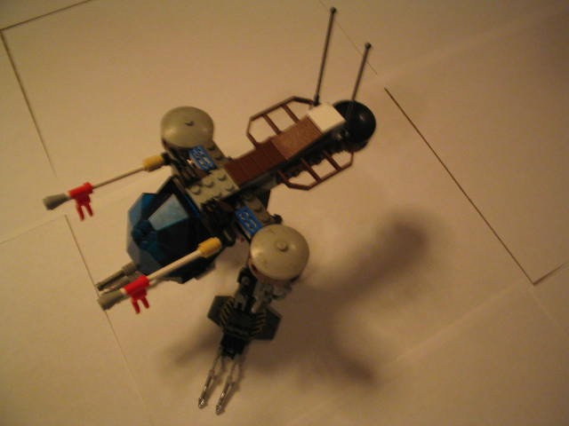 accipiter3.jpg