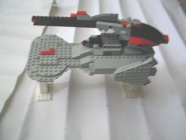rhino1.jpg