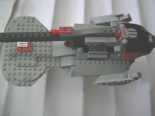 rhino5.jpg