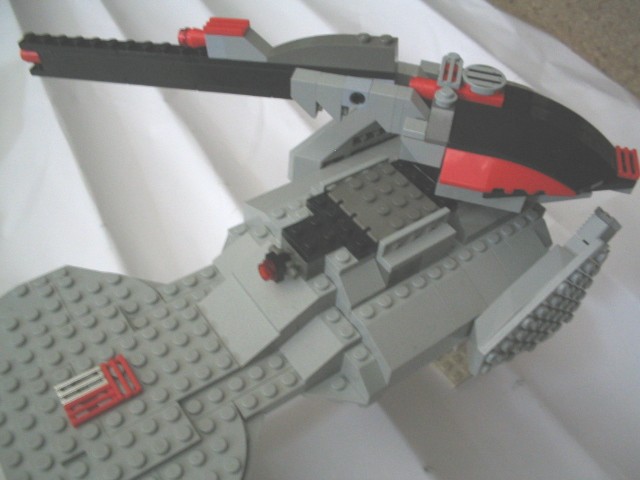 rhino8.jpg