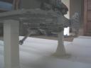 rhino10.jpg