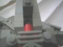 rhino7.jpg