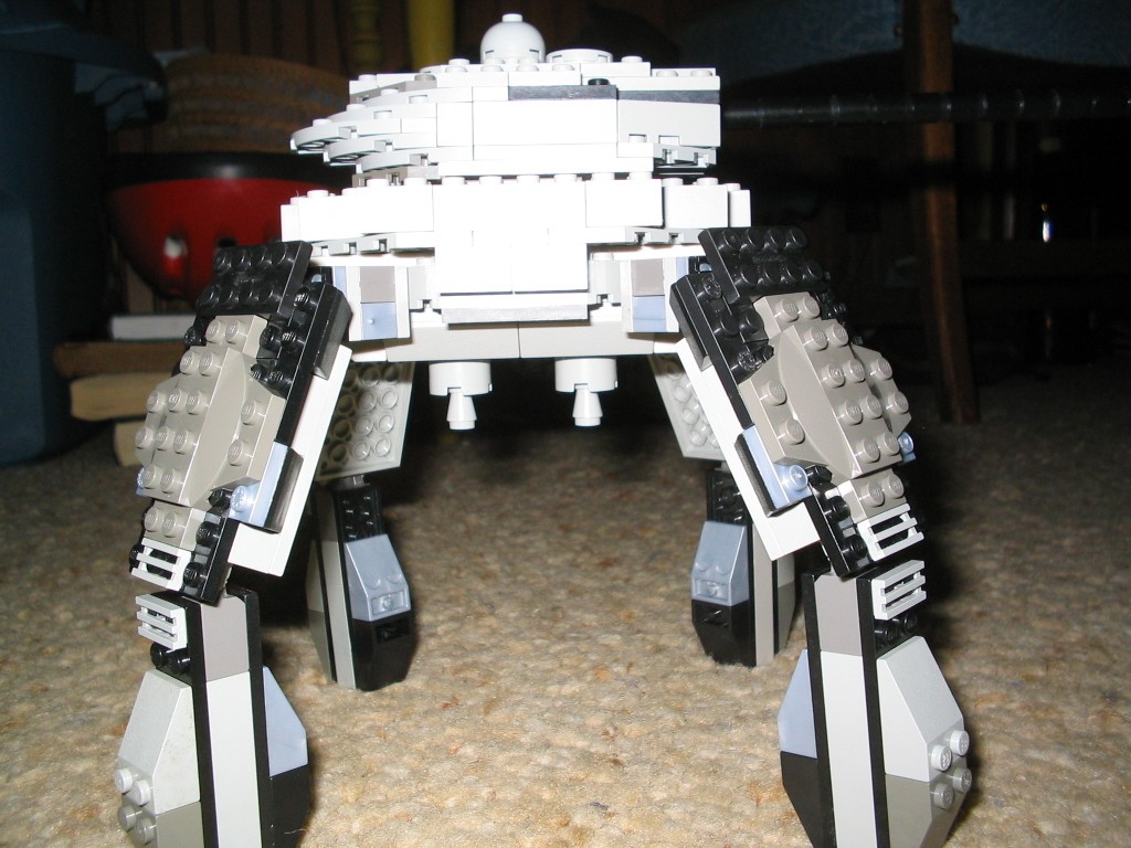 kojote4.jpg