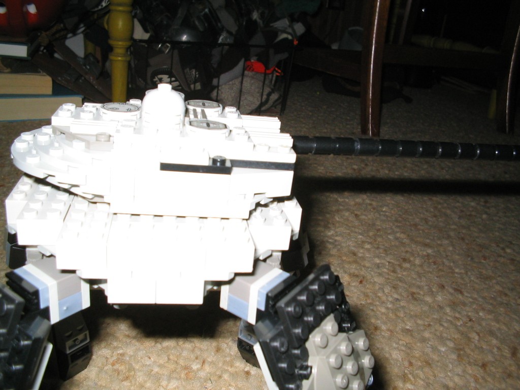 kojote6.jpg