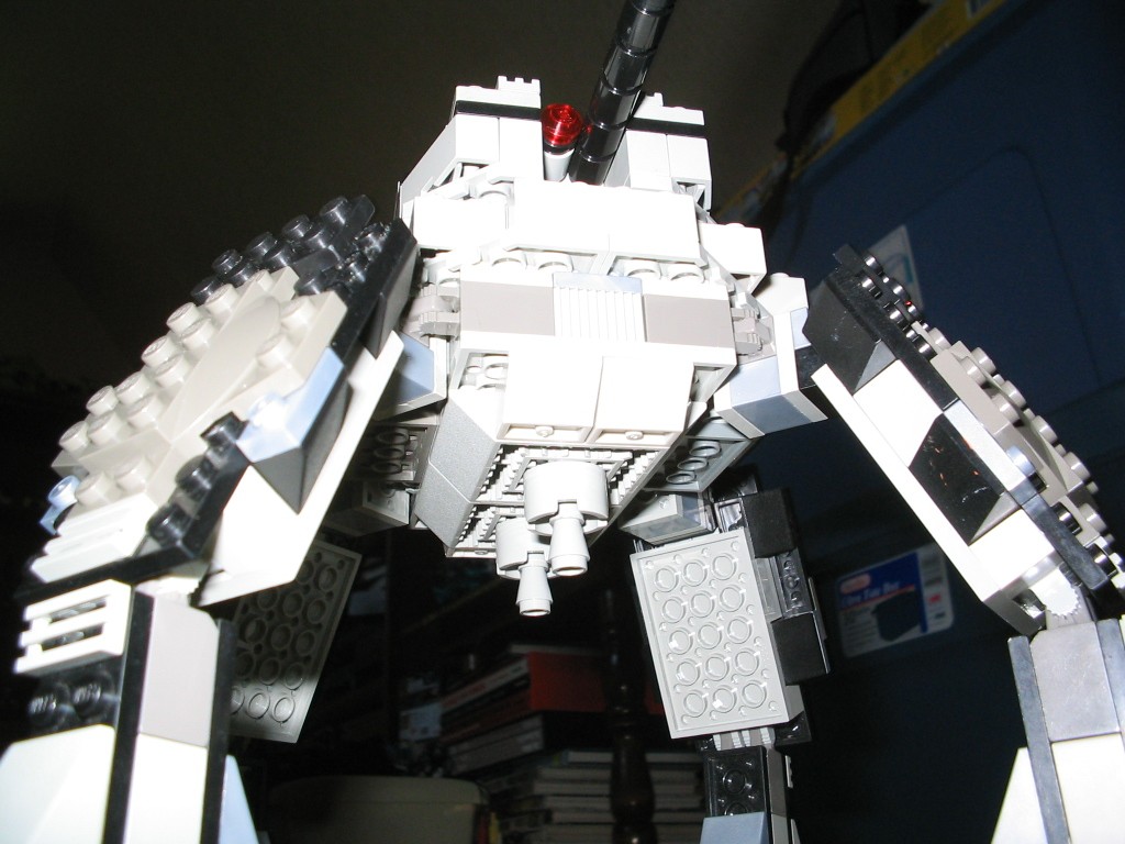 kojote8.jpg