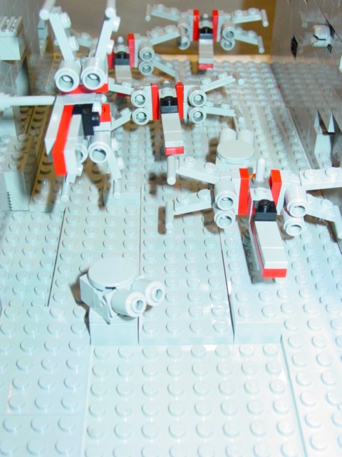 dsc04312.jpg