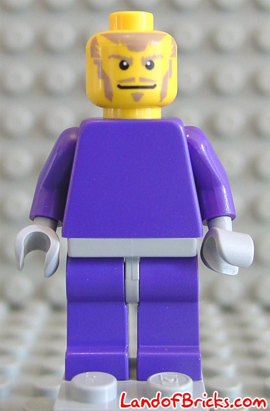 minifig_danju2.jpg