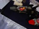 dsc04696.jpg