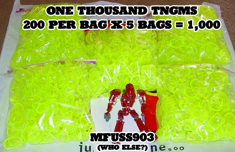 z_1000_tngms.jpg