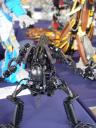 dsc04692.jpg