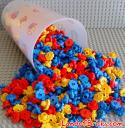 pab_flowers.jpg