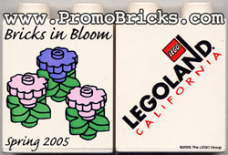 bloom.jpg