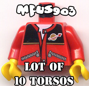 cstorso.jpg