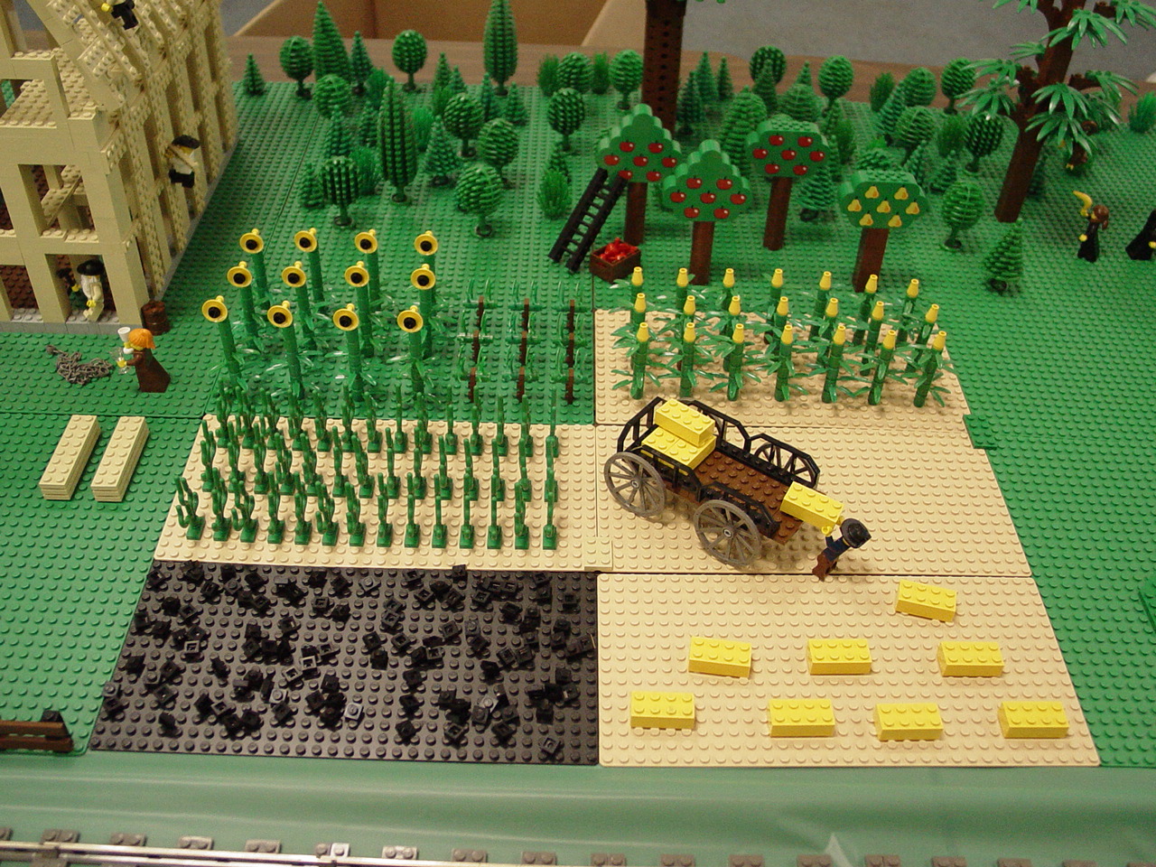 dsc01383.jpg