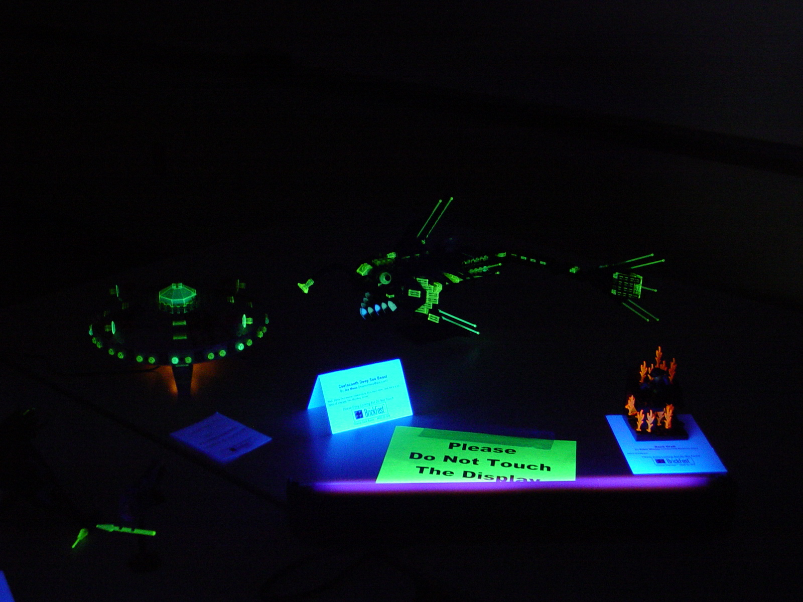 dsc01985.jpg