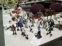dsc01910.jpg