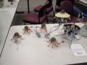 dsc01913.jpg