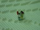 dsc00164.jpg