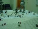 dsc00165.jpg