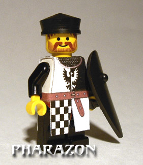 shield02.jpg