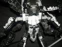 gerard_p4_pics_206.jpg