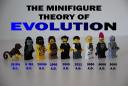 evolution_b.jpg