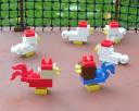 german_poultry.jpg