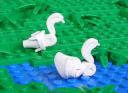 swan_lake.jpg