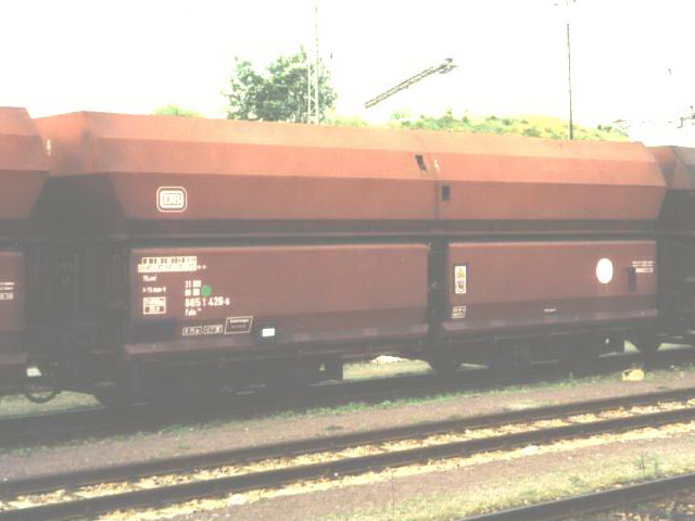 fals-model.jpg