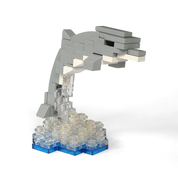 dolphin.jpg