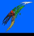 dracia_island_map.png