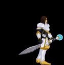 palladin_armour.png