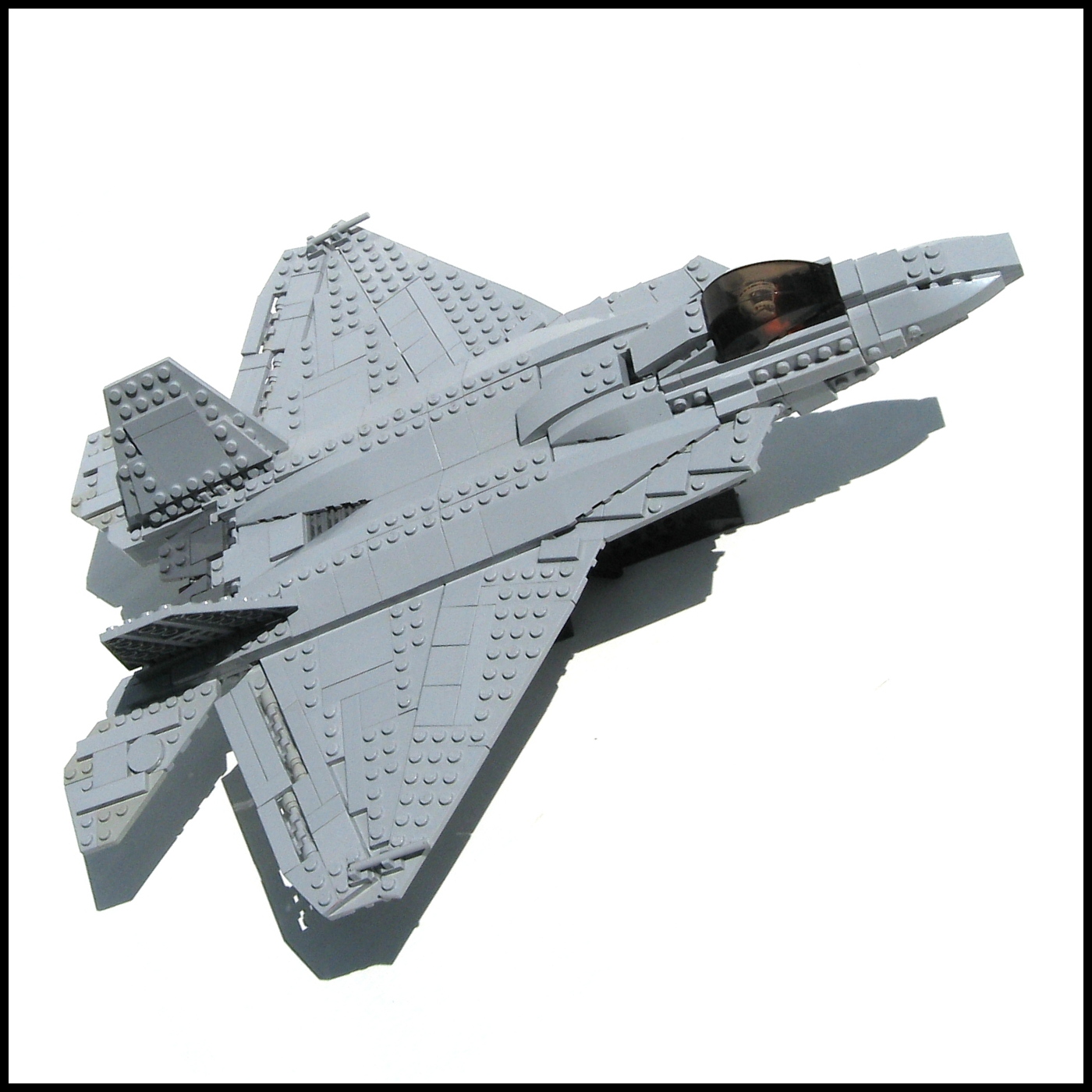 raptor-009.jpg