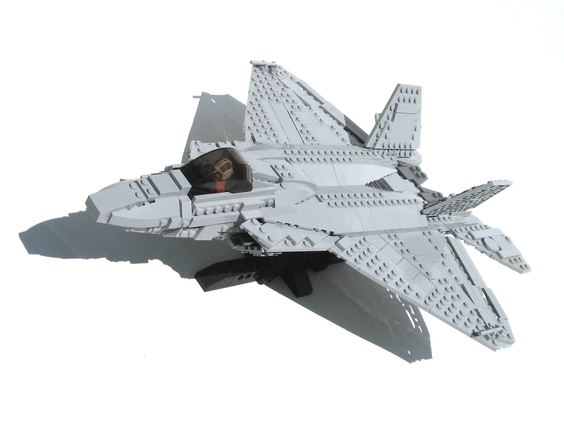 raptor-01.jpg