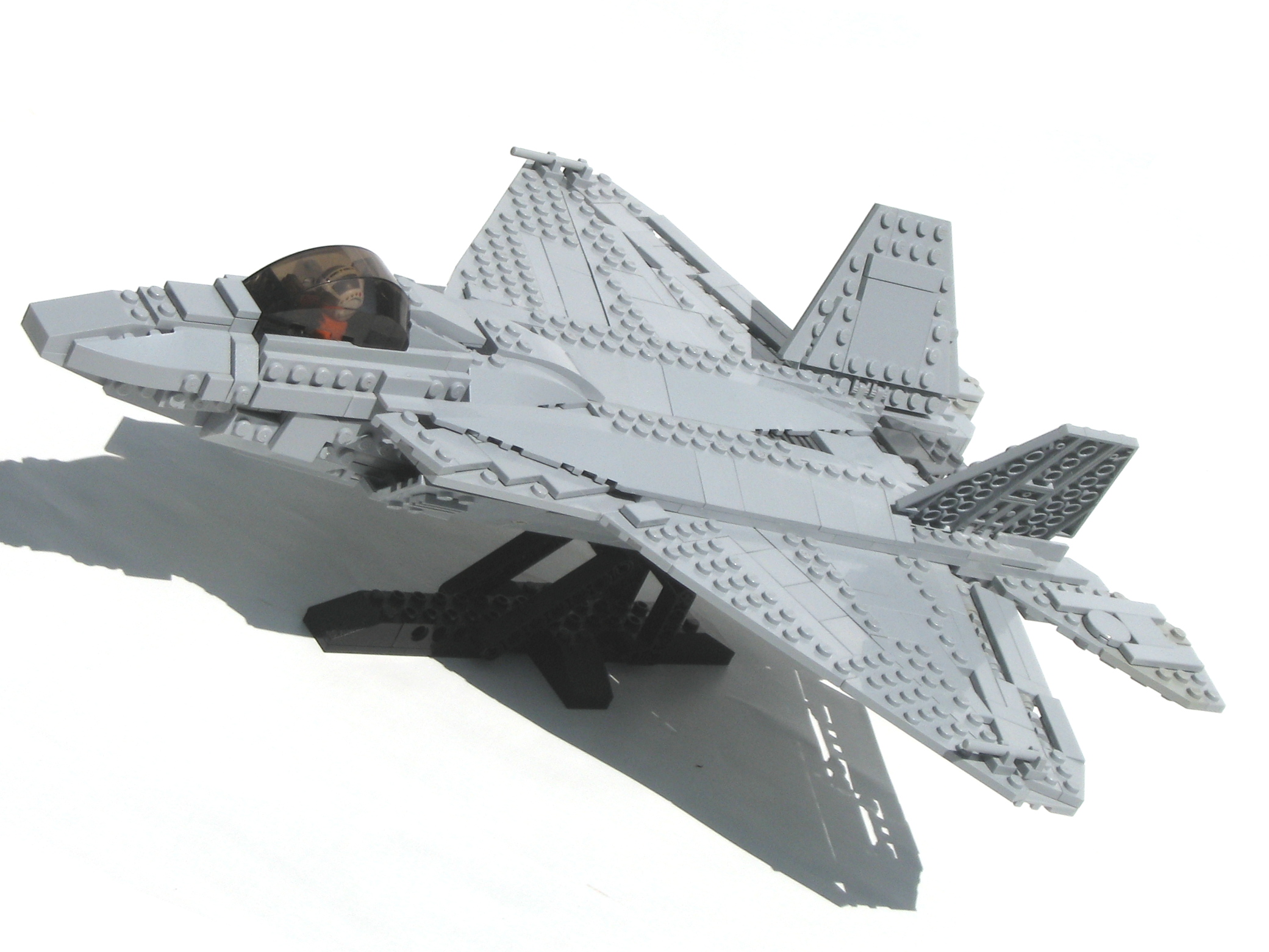raptor-05.jpg