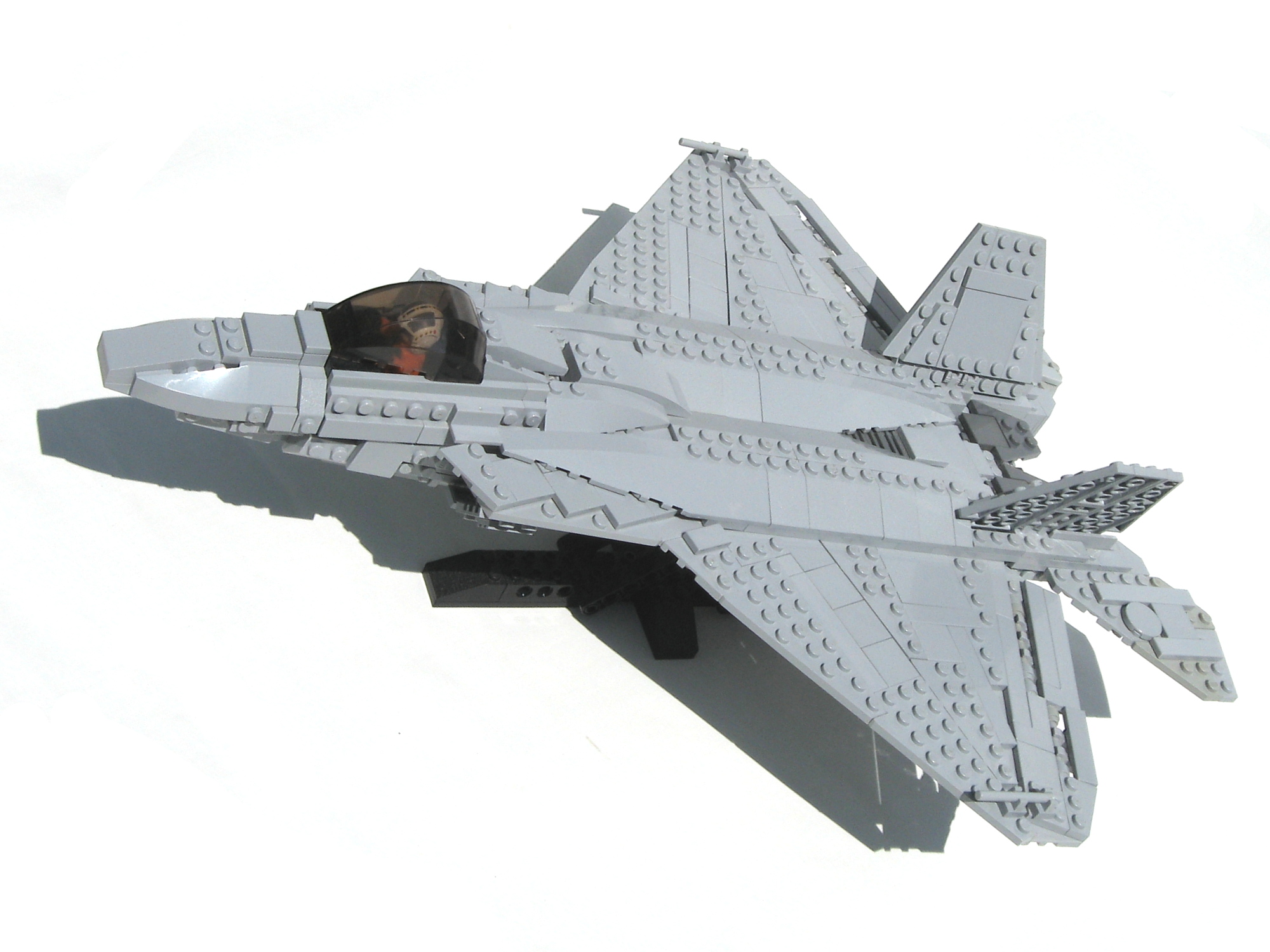 raptor-06.jpg