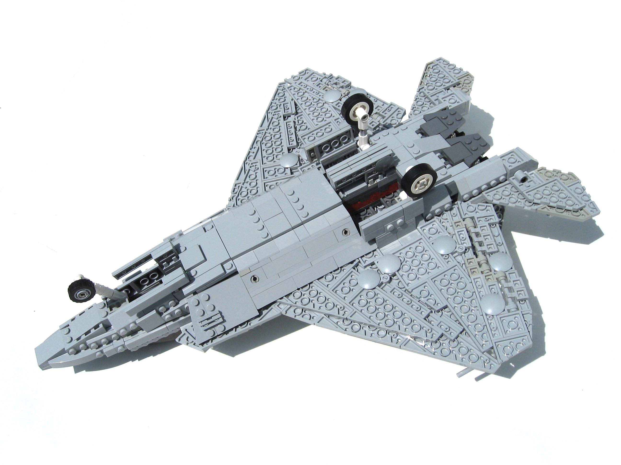 raptor-10.jpg